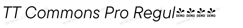 TT Commons Pro Regul字体转换 TT Commons Pro Regul字体转换